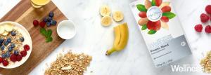 PAN WELLNESS